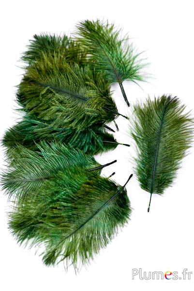 Struzzo Bellies - 8-13 cm - verde avocado